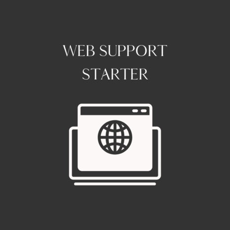 web support starter
